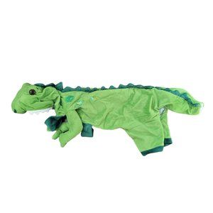 Green Dragon Dog Costume